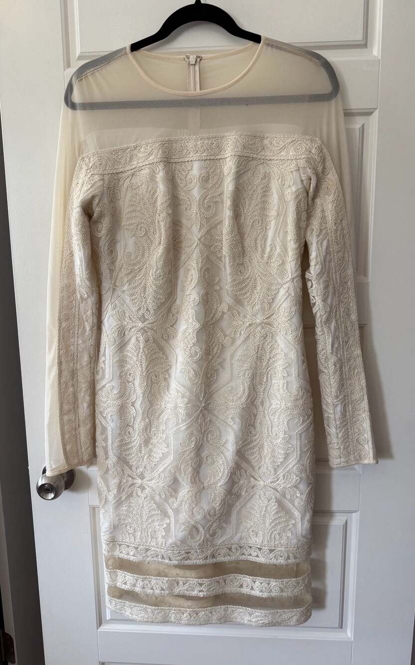 Tadashi Shoji Ivory Corded Lace Sheath Dress Size 12 Long Sleeve Illusion Mesh C - Picture 3 of 10